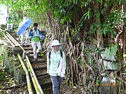 pic_Wai_122.JPG (310055 bytes)