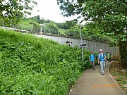 pic_Wai_128.JPG (309438 bytes)