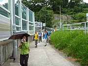 pic_Wai_130.JPG (264943 bytes)