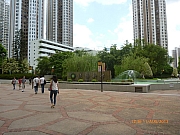 pic_Wai_133.JPG (222326 bytes)