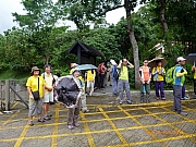 pic_Wai_005.JPG (332011 bytes)