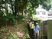pic_Wai_013.JPG (301554 bytes)