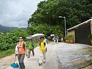 pic_Wai_015.JPG (252239 bytes)