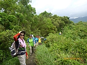 pic_Wai_022.JPG (314774 bytes)