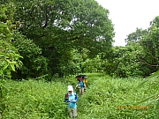 pic_Wai_024.JPG (343815 bytes)