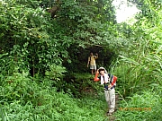 pic_Wai_025.JPG (254132 bytes)