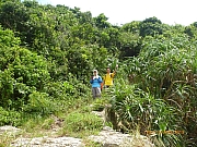 pic_Wai_030.JPG (372441 bytes)