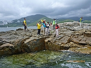 pic_Wai_043.JPG (225854 bytes)