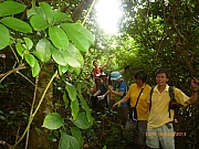 pic_Wai_058.JPG (240452 bytes)