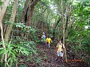 pic_Wai_059.JPG (349969 bytes)