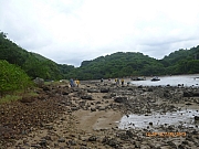pic_Wai_081.JPG (193488 bytes)