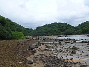pic_Wai_084.JPG (210590 bytes)
