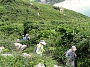 P9010061.JPG (382390 bytes)