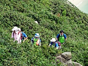 P9010094.JPG (426339 bytes)