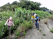 P9010101.JPG (367011 bytes)