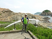 P9010148.JPG (250272 bytes)