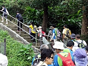 P9150009.JPG (310519 bytes)