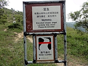 P9150045.JPG (289692 bytes)