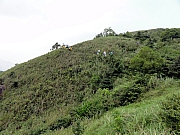 P9150053.JPG (274697 bytes)