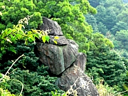 P9150057.JPG (240549 bytes)