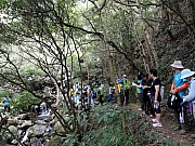 P9150072.JPG (373090 bytes)