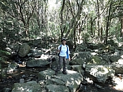 PA060027.JPG (345231 bytes)