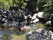 PA060034.JPG (354889 bytes)