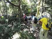 PA060067.JPG (372201 bytes)