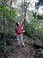 PA130020.JPG (350420 bytes)