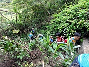PA130026.JPG (406462 bytes)