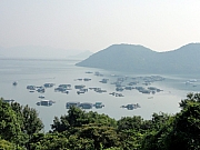 PA200008.JPG (156146 bytes)