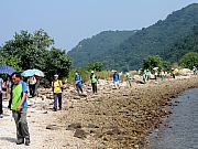 PA200133.JPG (283951 bytes)
