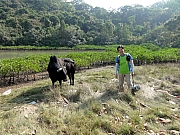 PA270005.JPG (354862 bytes)