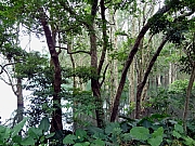 PB030045.JPG (323309 bytes)