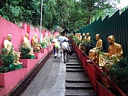 PB100009.JPG (258066 bytes)