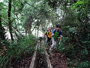 PB100028.JPG (320988 bytes)