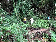 PB100032.JPG (319995 bytes)