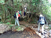 PB100036.JPG (268052 bytes)