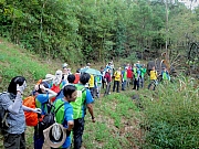 PB100037.JPG (278866 bytes)