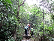PB100062.JPG (338213 bytes)