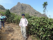 PB170042.JPG (255387 bytes)