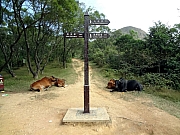 PB170059.JPG (231007 bytes)