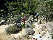 PC010164.JPG (347337 bytes)
