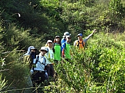 PC010191.JPG (314970 bytes)