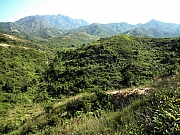 PC010197.JPG (283446 bytes)