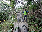 PC080018.JPG (364525 bytes)