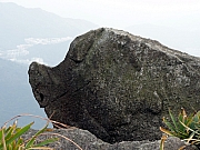 PC080065.JPG (235353 bytes)