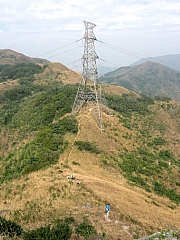 PC080099.JPG (248128 bytes)