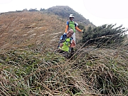 PC080101.JPG (345608 bytes)