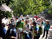 P1120032.JPG (322544 bytes)